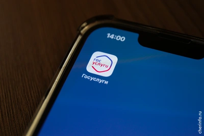 Студенческие семьи Череповца получают меры поддержки на госуслугах