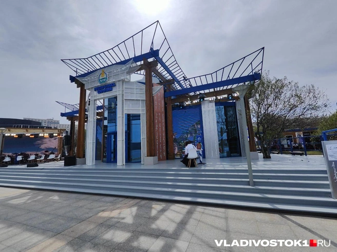 Источник: Татьяна Акишина / VLADIVOSTOK1.RU