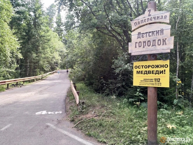 Глава думского комитета по туризму предложил устанавливать медведезащитные контейнеры | Источник: Алина Циопа / FONTANKA.RU