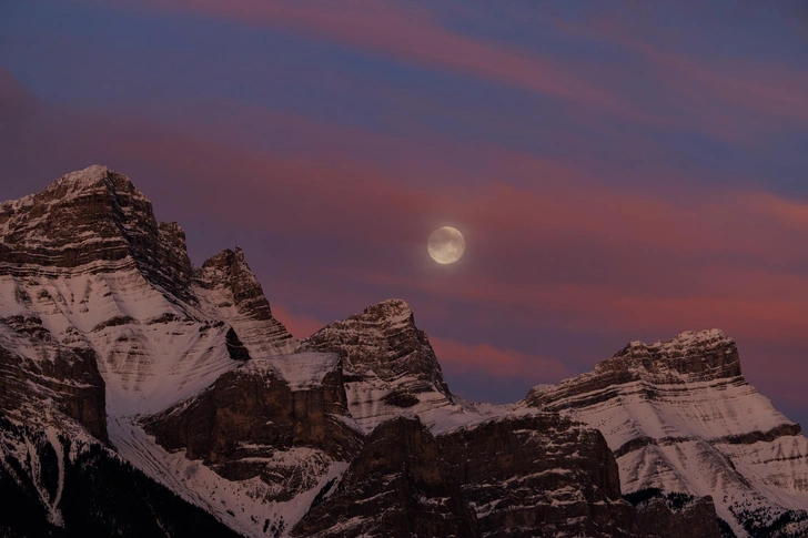 Источник: Getty Images