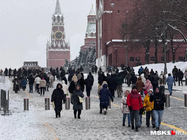 Источник: Дмитрий Толстошеев / MSK1.RU
