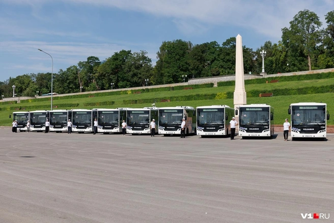 Новые автобусы будут работать на маршрутах в северных районах Волгограда | Источник: Алексей Волхонский / V1.RU
