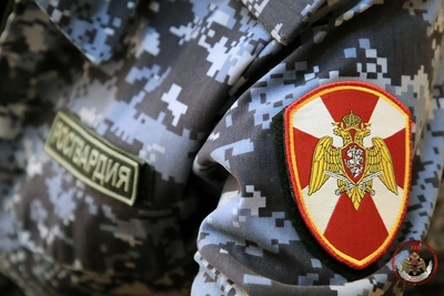 Сотрудники Росгвардии пресекли серию краж в Пскове