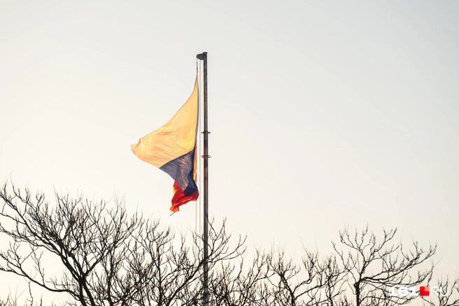 Источник: Евгений Вдовин / 161.RU