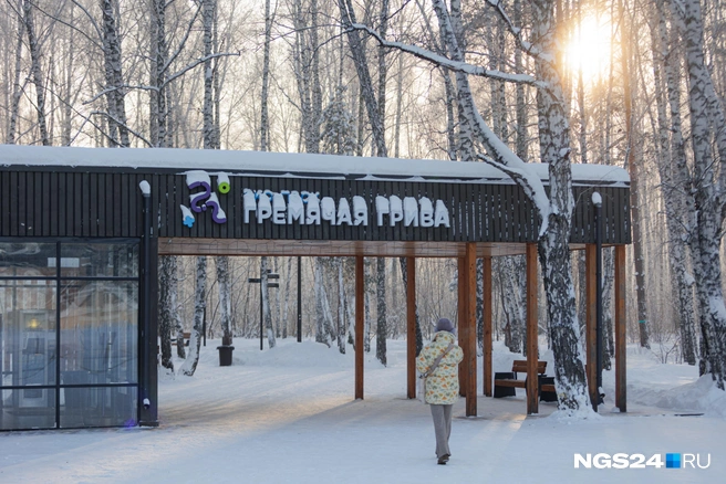 Природа застыла, но сейчас там зелень и шелест листьев | Источник: Мария Ленц / NGS24.RU