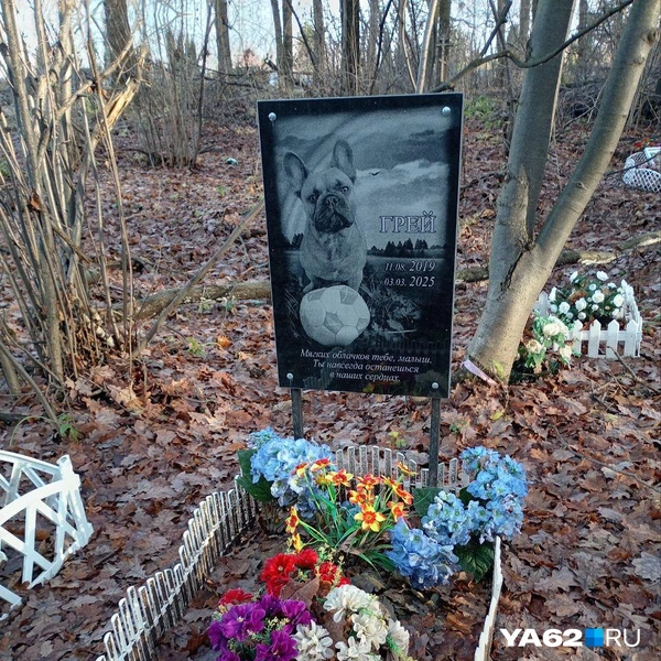 Источник: Анастасия Фокина / YA62.RU