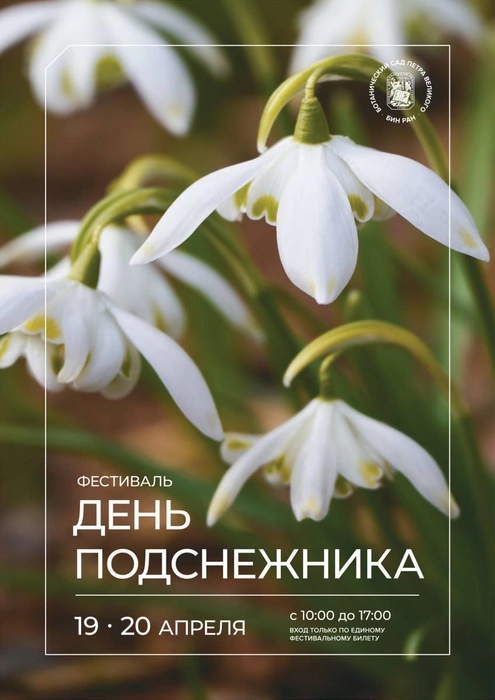 Источник: Ботанический сад Петра Великого / Телеграм