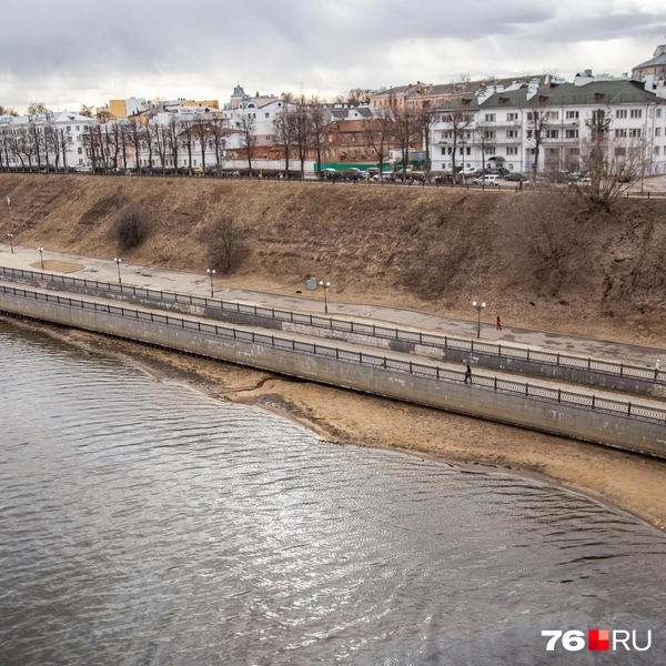 Только посмотрите, как далеко ушла вода | Источник: Кирилл Поверинов / 76.RU