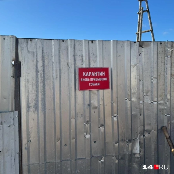 В зону карантина входить нельзя | Источник: Ольга Донская / 14.RU