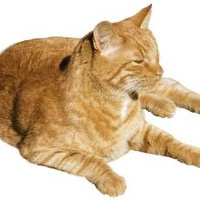 Аватарка quoisix