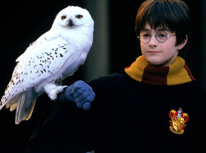 10 фактов о Джоан Роулинг и Гарри Поттере