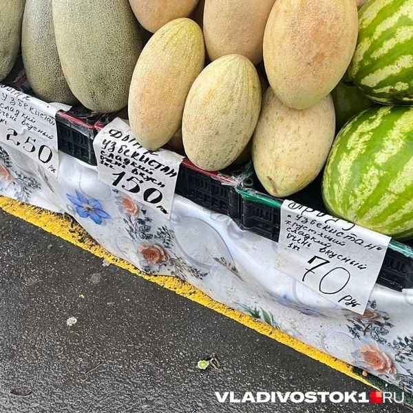Источник: Елена Буйвол / VLADIVOSTOK1.RU