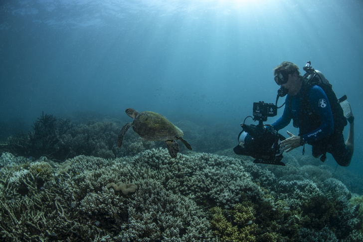 Eco-ELLE: часовой бренд Blancpain поддерживает инициативы по изучению и защите океанов