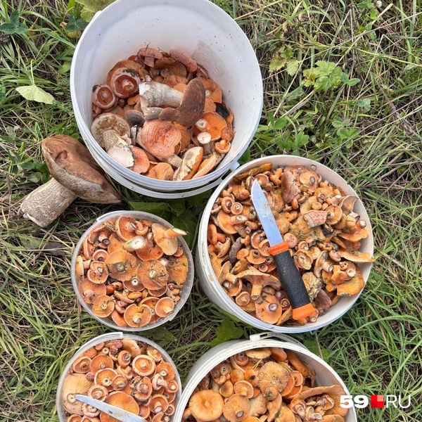 Ну роскошь! | Источник: Елена Галина, читатель 59.RU