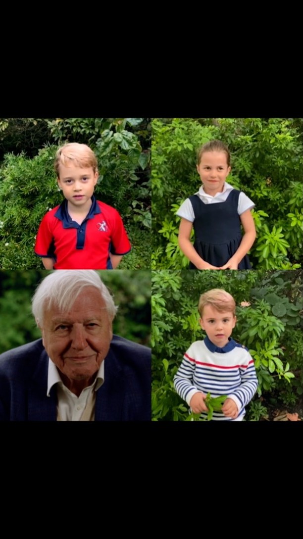 Все в сборе и даже малыш Луи: Кенсингтонский дворец опубликовал видео с королевскими детьми