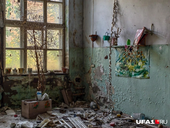 Гирлянда так и осталась на своем месте | Источник: Булат Салихов / UFA1.RU