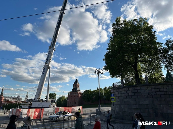 Источник: Римма Багдасарян / MSK1.RU