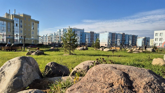 В Сертолово открылась новая зона отдыха с арт-объектами и зеленью | Источник: Предоставлено ГК «КВС»