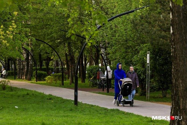 В Северном Тушино зелено и уютно | Источник: Артем Устюжанин / MSK1.RU