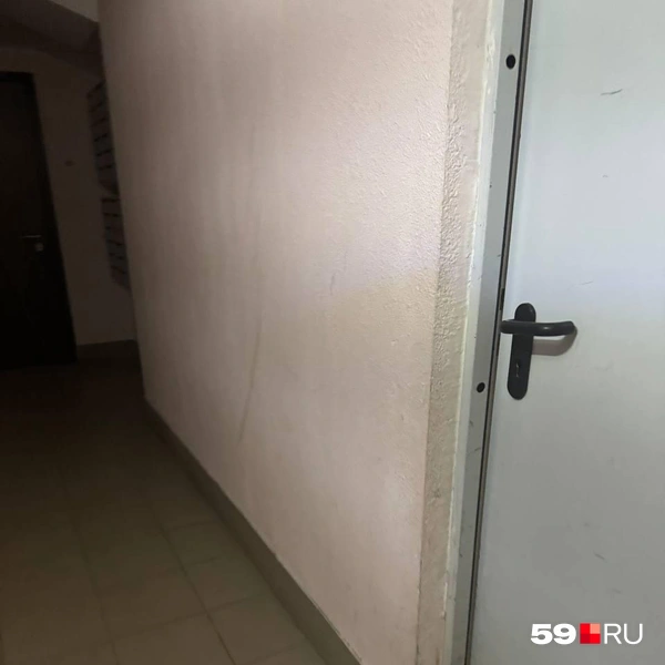 Грязные стены | Источник: читатель 59.RU