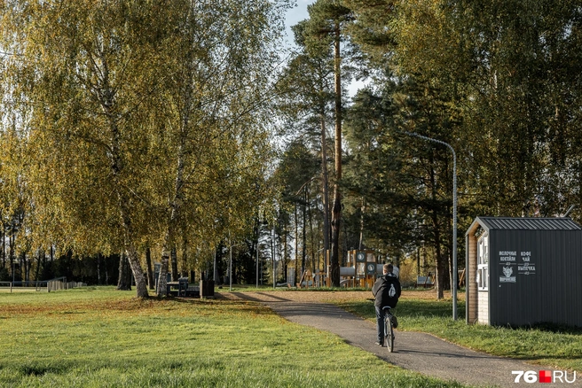 Тротуар ведет в центральный парк, где есть точка с кофе  | Источник: Александр Куренной / 76.RU