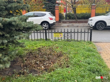 Мусор на газонах никого не смущает, а собака мешает | Источник: Дарья Гранкина / 26.RU