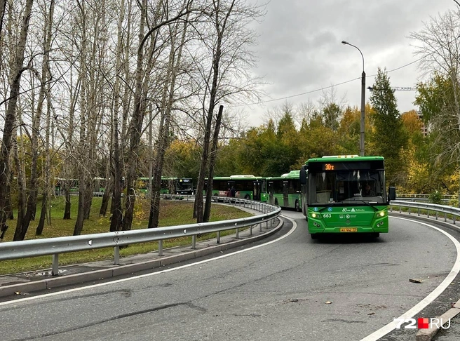 Вы когда-нибудь такое видели? Пробка из одинаковых зеленых автобусов | Источник: Анатолий Кузнецов / 72.RU