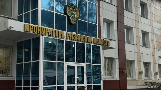 Это общая сумма на 14 детей в Рязанской области | Источник: Виктория Улитова / YA62.RU