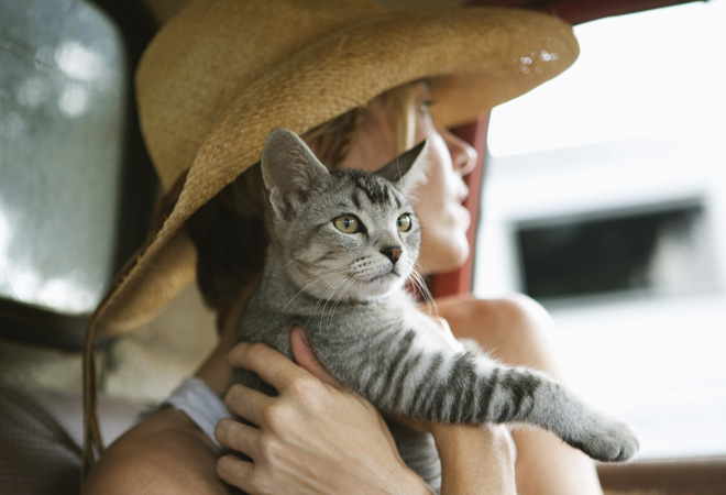 Как стать счастливой: 12 мудрых советов от вашего кота