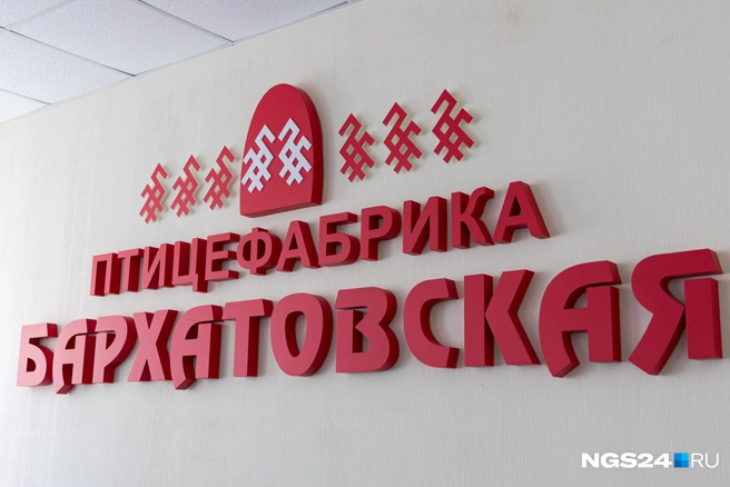 В лого фабрики скрыты курицы | Источник: Мария Ленц / NGS24.RU