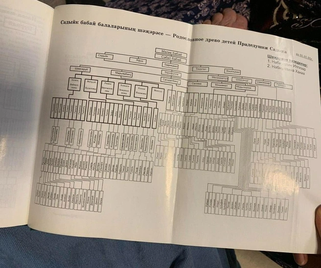 Родословная династии | Источник: героиня материала