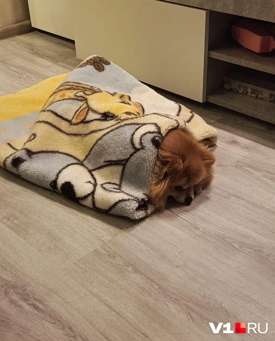 «Да когда там уже отопление дадут?» | Источник: читатели V1.RU