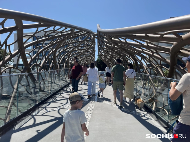 Мост «Волшебный лист» | Источник: Анна Грицевич / SOCHI1.RU