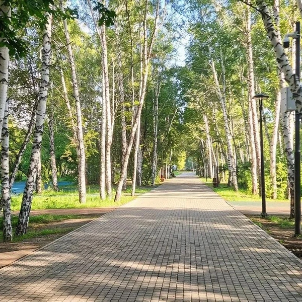 Источник: Администрация Барнаула