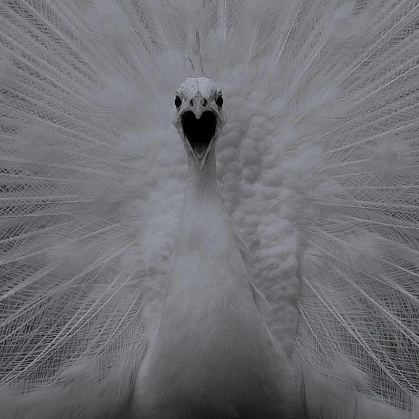 Источник: Caroline Martin-Dony / Exposure One Awards 2025