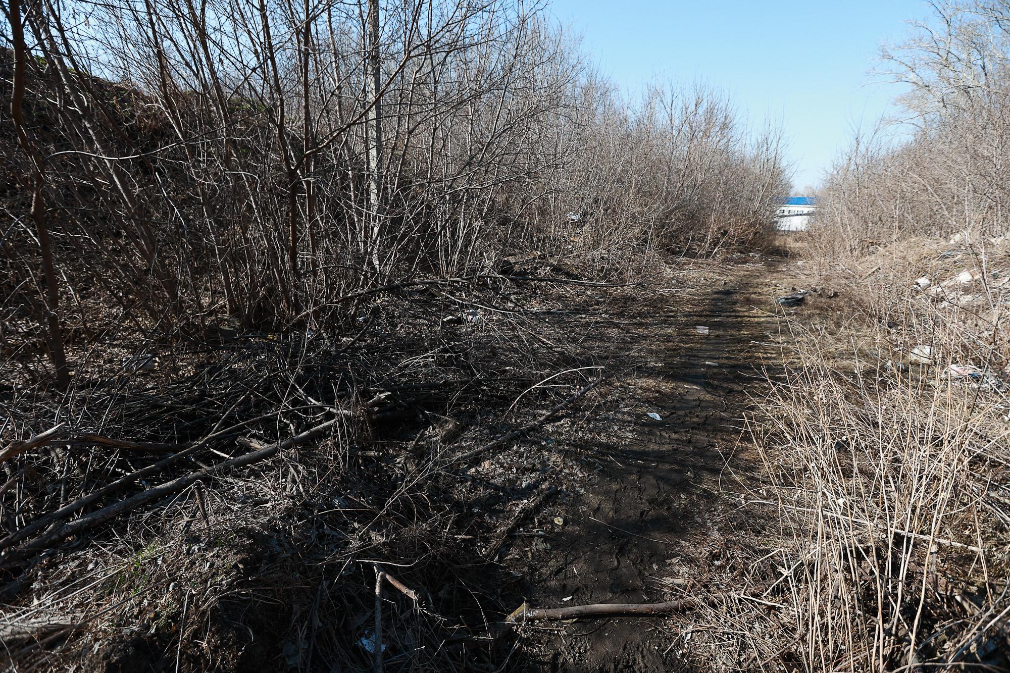 ЮУ КЖСИ потеряла площадку на берегу Миасса. Что с другими проектами застройщика