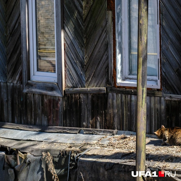 Жизнь кипит не только у людей | Источник: Булат Салихов / UFA1.RU