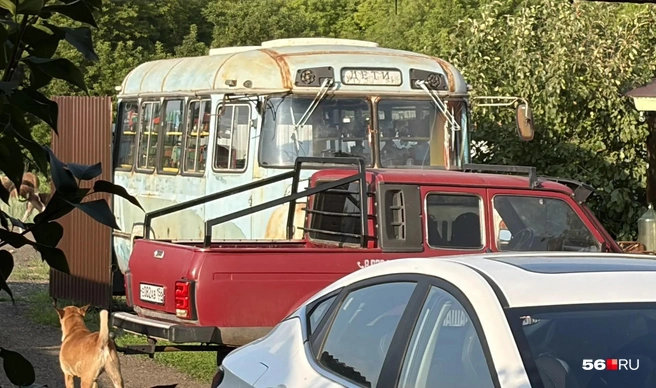 А в автобусе&nbsp;— еще одна выставка | Источник: Николай Сальников / 56.RU