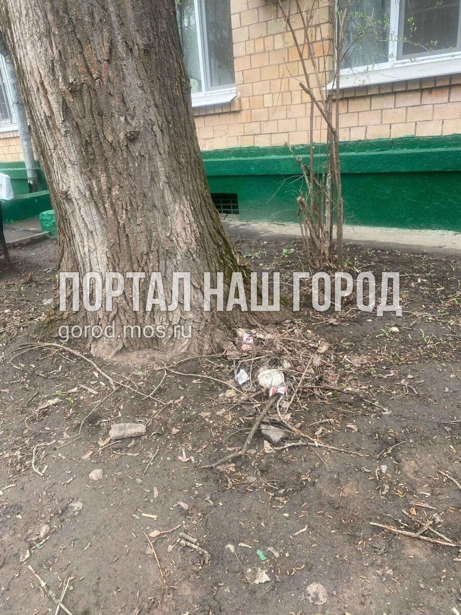 Мусор под окнами | Источник: gorod.mos.ru