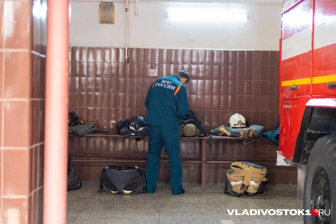 Источник: Елена Буйвол / VLADIVOSTOK1.RU