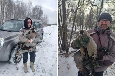 Mycologist and geneticist save crane with broken wing