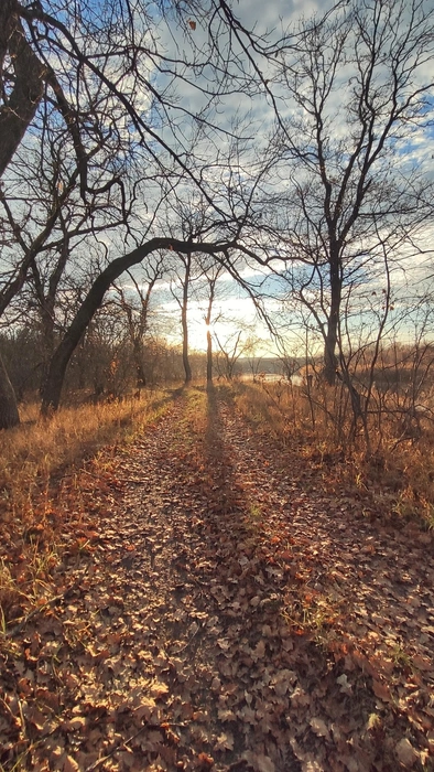 Источник: Ирина Голоколенова