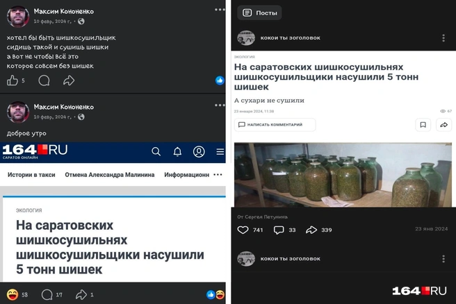В 2024 году новость про шишкосушильни стала вирусной в Рунете | Источник: коллаж из скриншотов разных соцсетей