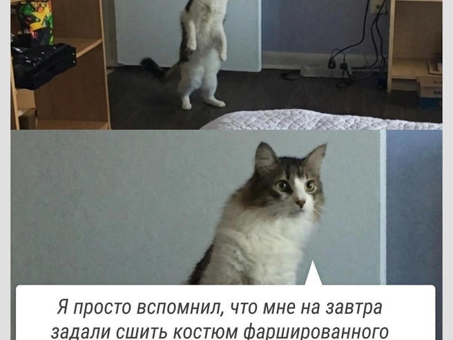 Каждой маме такое знакомо | Источник: Городские медиа