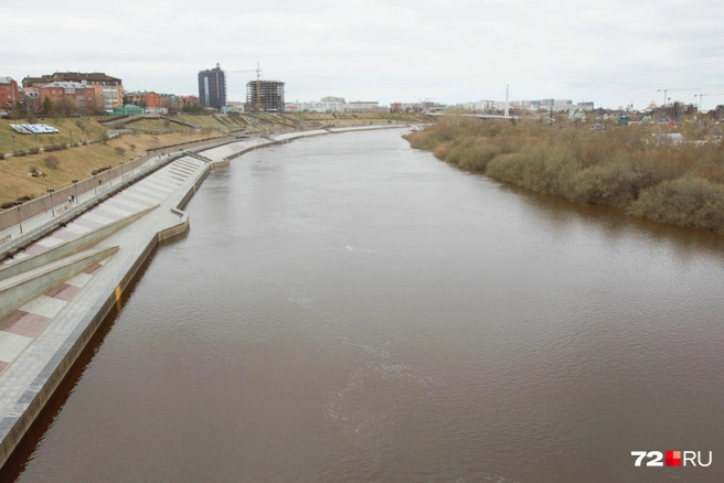 Река начала наполняться после периода маловодья? | Источник: Павел Красоткин / 72.RU