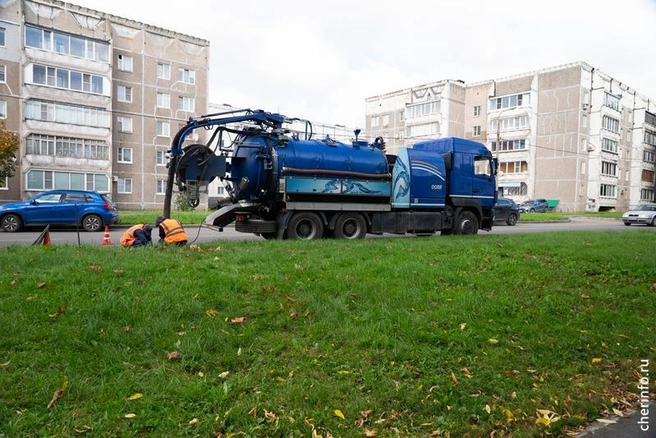 Источник: st.cherinfo.ru