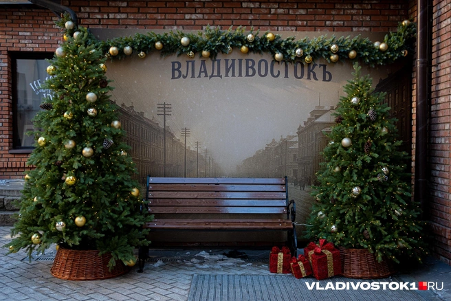 Источник: Елена Буйвол / VLADIVOSTOK1.RU