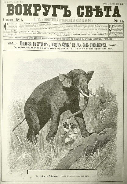 Архивные байки: что писал «Вокруг света» об охоте на слонов в 1904 году