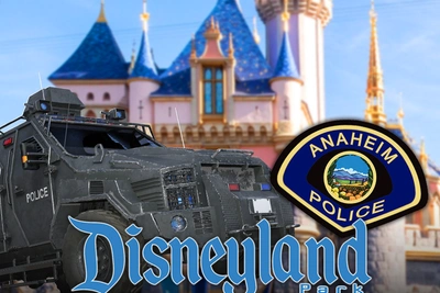 У входа в Disneyland обнаружили тело мужчины