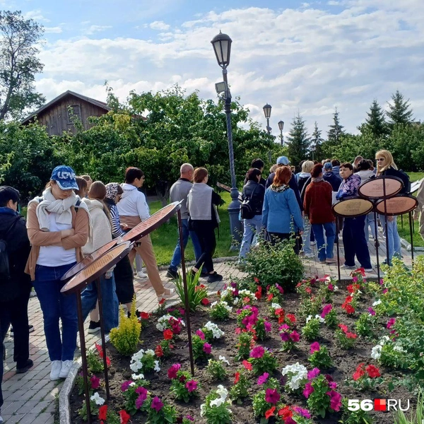 Источник: Анастасия Баринова / 56.RU